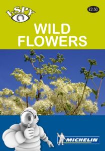 I-Spy - Wild Flowers