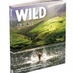 Wild Things - Wild Guide - Lakes & Dales