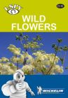 I-Spy - Wild Flowers
